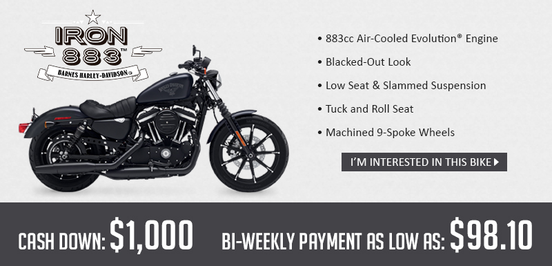 best harley davidson for new rider